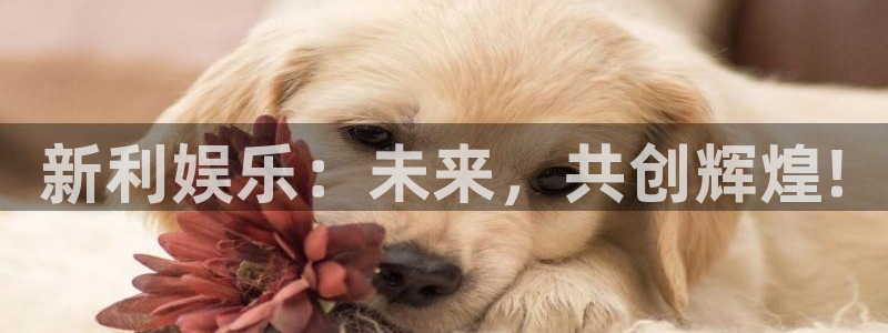 意昂3登录