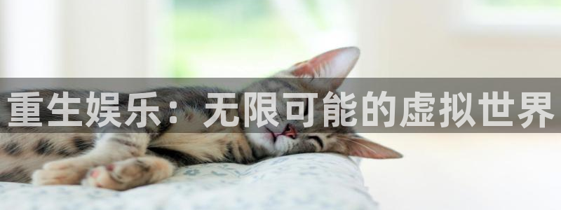 意昂2代理注册