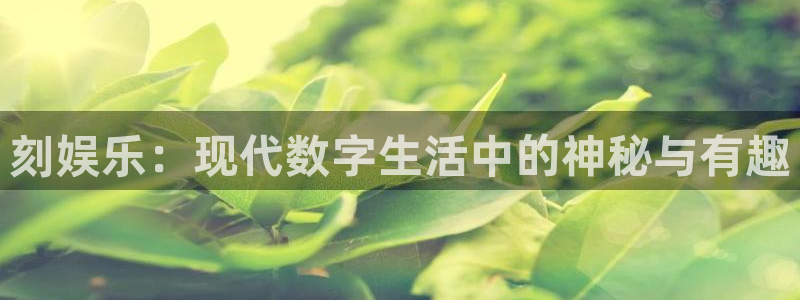 意昂2登录入口